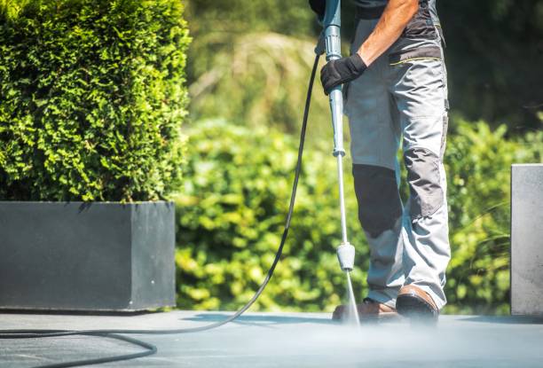 Best Dumpster Area Cleaning  in Shackle Island, TN