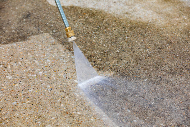 Best Factory Floor Cleaning  in Shackle Island, TN